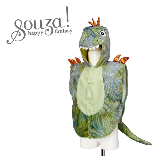 pol_pm_Souza-Kostium-narzutka-T-Rex-2-lata-14578_1.jpg