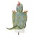 pol_pm_Souza-Kostium-narzutka-T-Rex-2-lata-14578_3.jpg